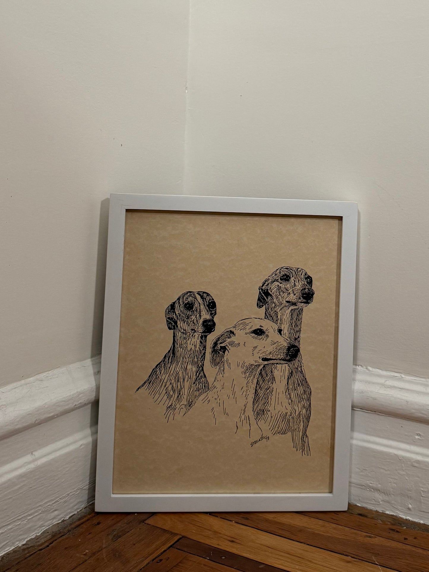 Portrait of Three Whippets